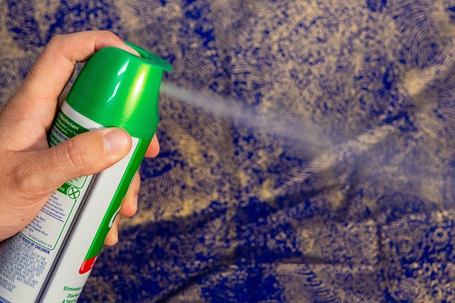 Can You Bring Large Aerosols Like Lysol on a Royal Caribbean&nbsp;Cruise?
