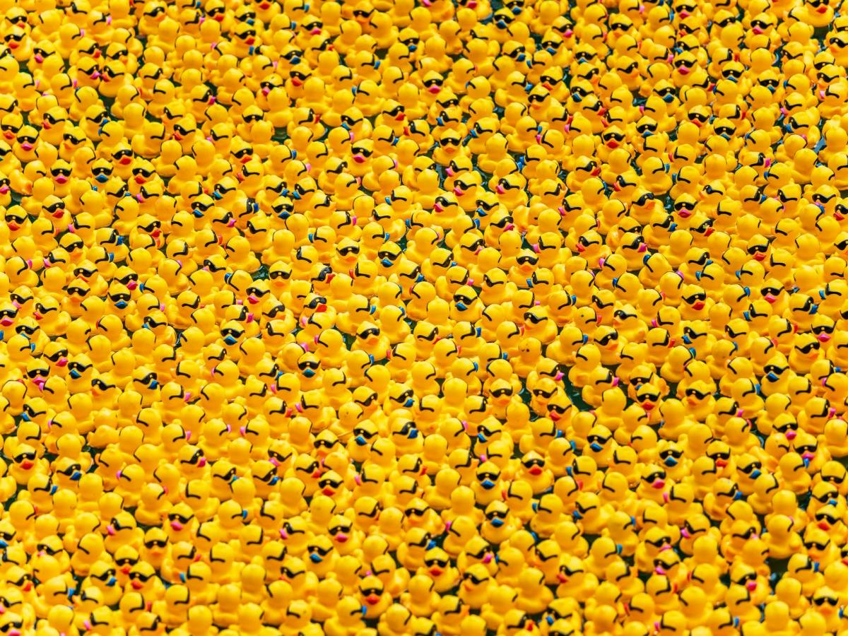 10 Fun Places to Hide Cruise Ducks&nbsp;Onboard