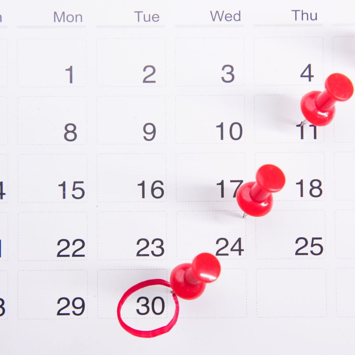 What to Do After Booking a Royal Caribbean Cruise: A Day-by-Day&nbsp;Timeline