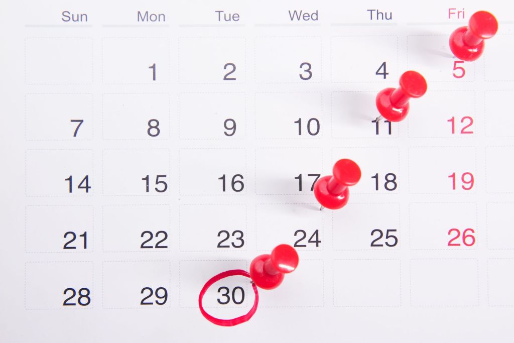 What to Do After Booking a Royal Caribbean Cruise: A Day-by-Day&nbsp;Timeline